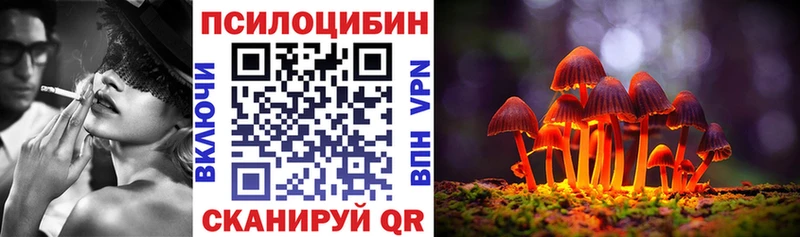 дарк нет клад  купить закладку  мега как войти  Ахтубинск  Псилоцибиновые грибы MAGIC MUSHROOMS 