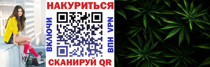 Шишки марихуана сатива  где найти   Ахтубинск 